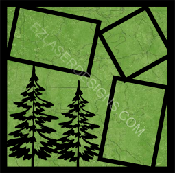 Loving the Outdoors Evergreen trees
